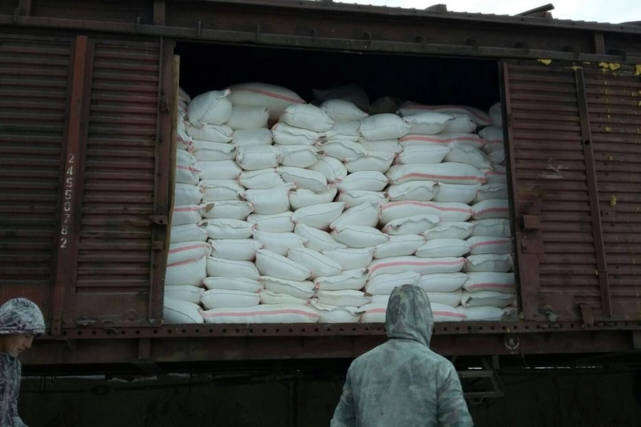 Казахстан поставит Кыргызстану муку и семена в качестве гуманитарной помощи 