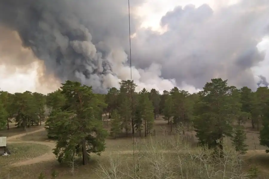 В ВКО горит сосновый лес, жара и ветер мешают пожарным 