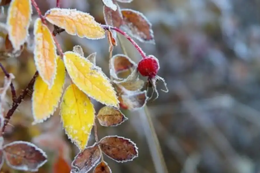 Похолодание и осадки: погода по Казахстану на 2-4 ноября 