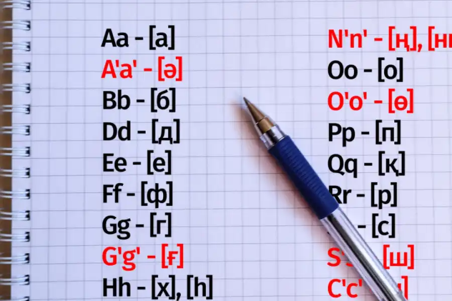 Токаев: «Нужна реформа казахского языка, модернизация» 
