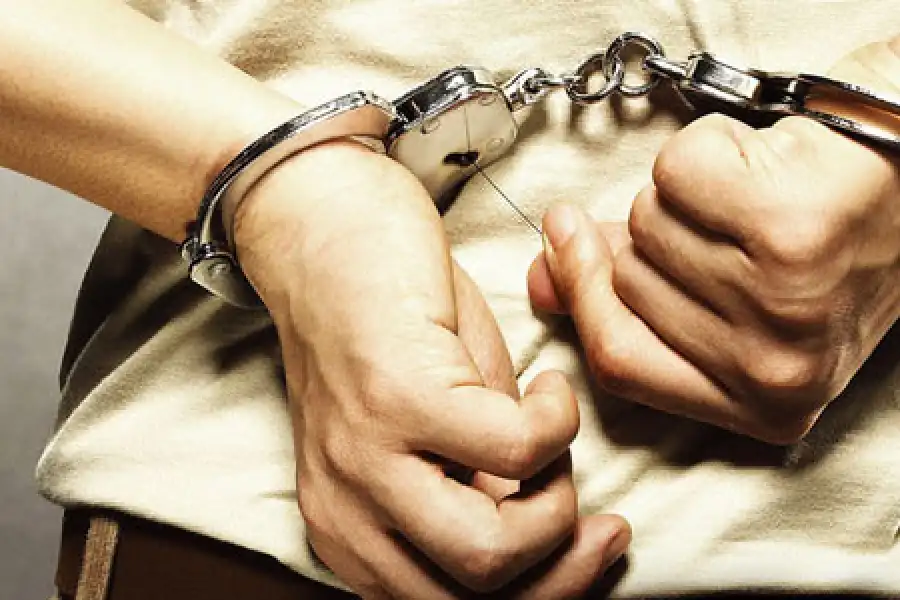 Мажилис разрешил отдавать под суд блогеров за рекламу финансовых пирамид 