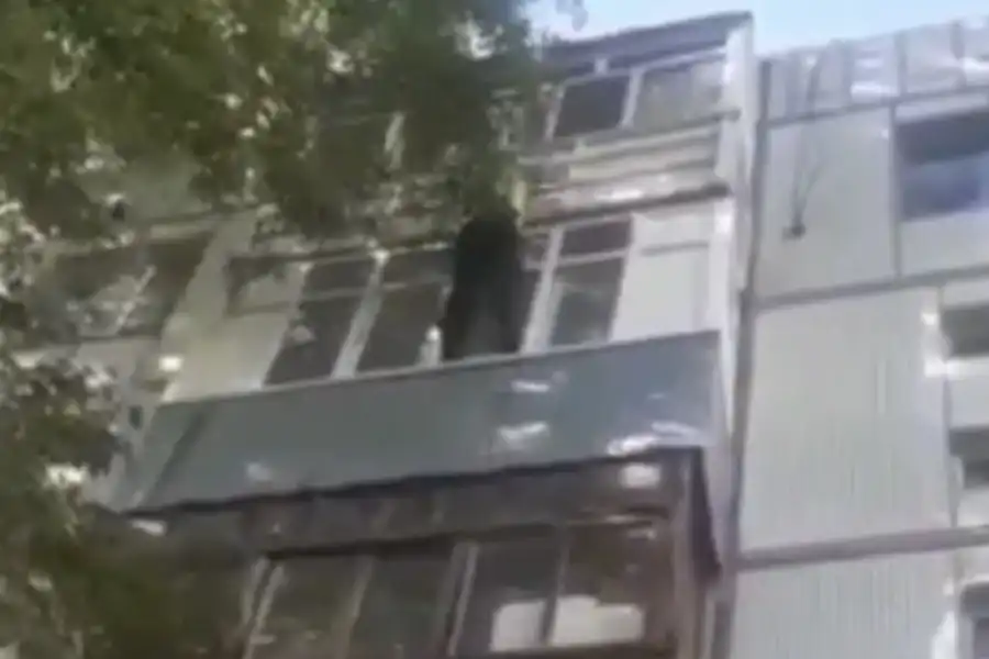 Пожилой астанчанин угрожал прыгнуть с балкона, проверяя любовь жены 