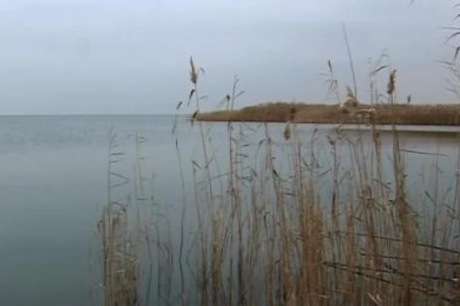Токаев поддержал экологов и поручил перепроверить ситуацию вокруг озера Былкылдак 