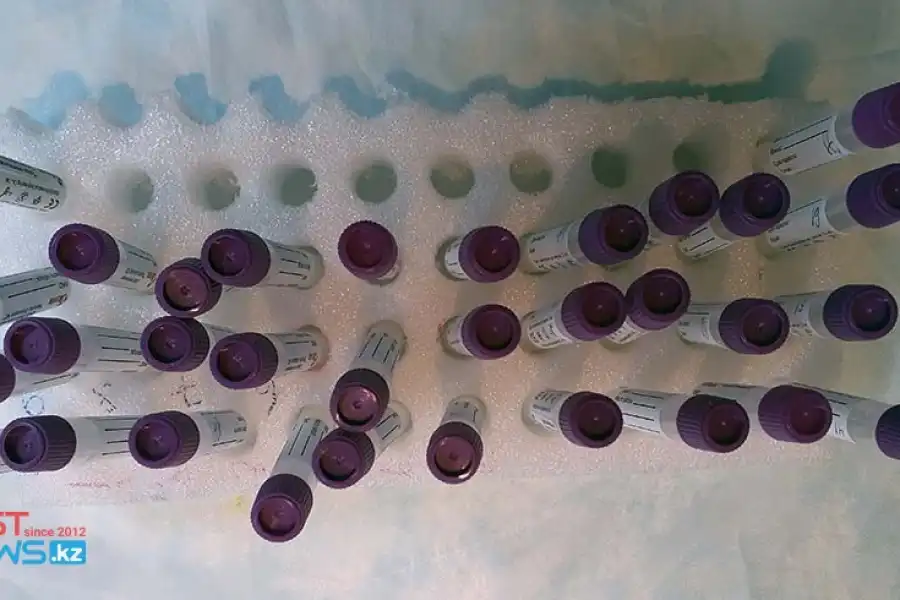 Онлайн-заседание Правительства Казахстана - смотрите здесь 