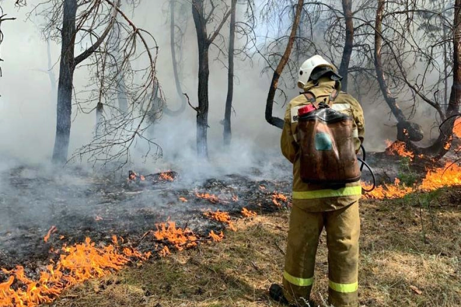 Лесные пожары в Костанайской области – объявлена ЧС местного масштаба 