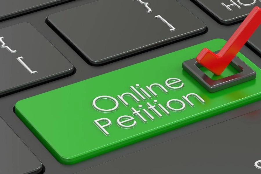 В Казахстане разрабатывают портал для подачи онлайн-петиций 
